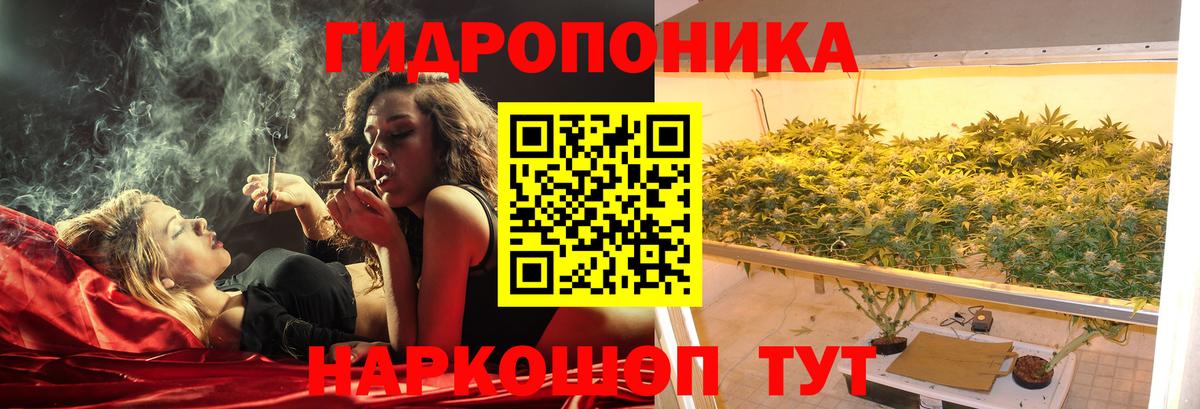 Бошки марихуана White Widow Кимры
